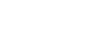 icon.transport